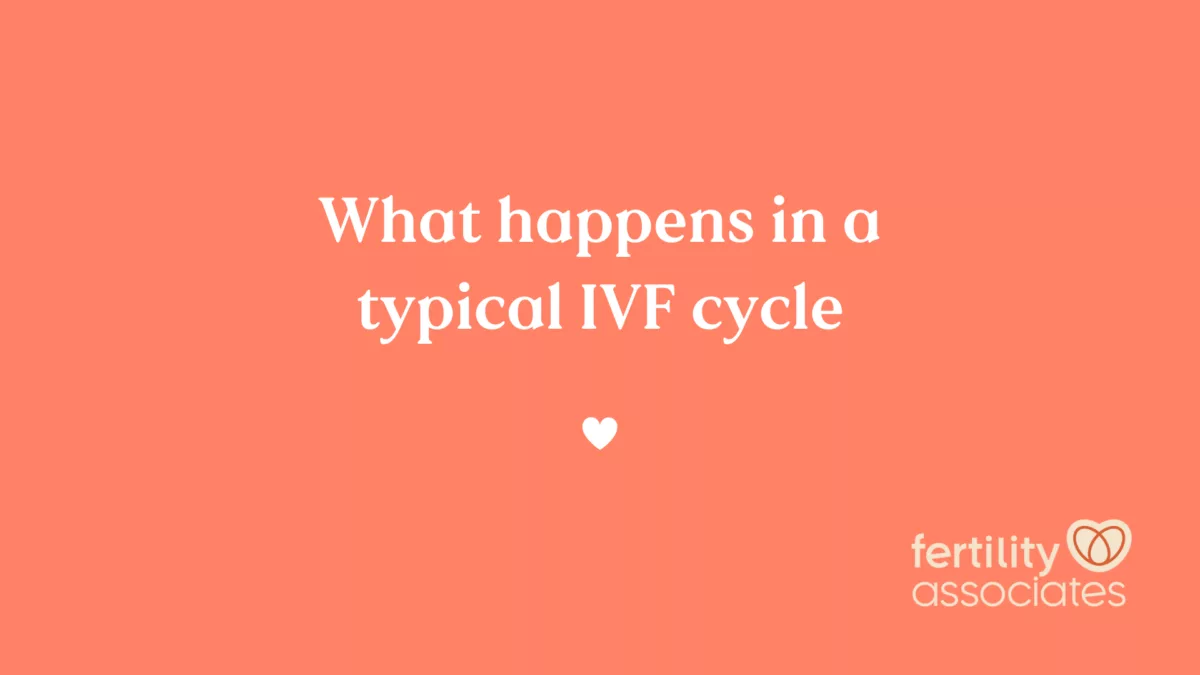 What Happens In A Typical Ivf Cycle • Fertility Associates